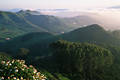Teneriffa Berghügel Grüntäler in Nebel bei La Laguna Kanarische Insellandschaft Naturfoto