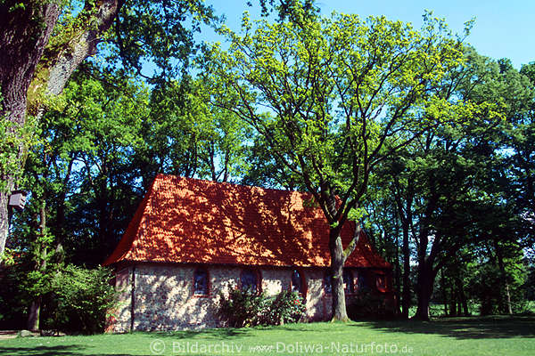 Ole Kerk Bispingen Kirche in Frhjahrsfrische unter Grnbumen