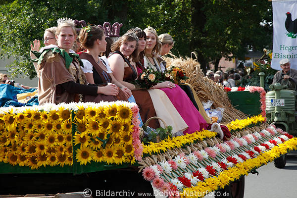 Geschmückter Erntewagen voll hübscher Heidemädels Festumzug in Steinbeck