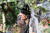 Zubermann Tracht märchenhafte Figur aus Zauberwald krumme Nase Schwarzhut verkleidet