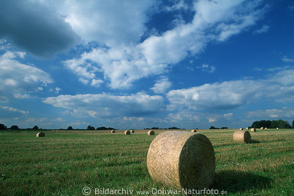 Strohballen auf Stoppelfeld Foto verwachsen mit Gras unter Wolken Blauhimmel