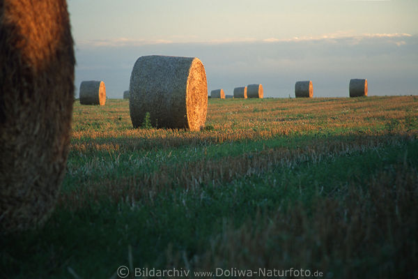 Strohballen Bild auf Ackerfeld in Abendlicht, untergehende Sonne ber Stoppelfeld