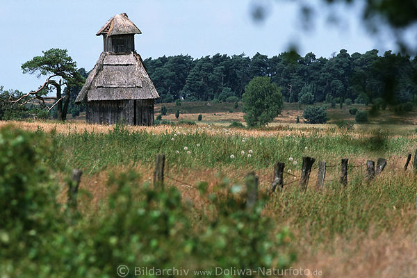 Alte Heuscheune Foto in Grnwiese am Wald Heidelandschaft Weideland Grasflche