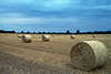2587_Stoppelfeld Strohballen Bild Panorama bei Mlln Breitenfelde Landwirtschaft