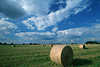 2840_Strohballen auf Stoppelfeld Foto verwachsen mit Gras unter Wolken Blauhimmel