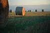 2843_Strohballen Bild auf Ackerfeld in Abendlicht, untergehende Sonne ber Stoppelfeld