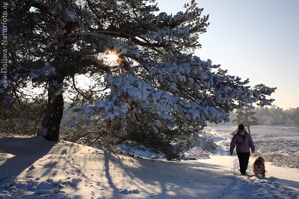 Schneewandern mit Hund in Winterlandschaft Sonne-Gegenlicht am Baum