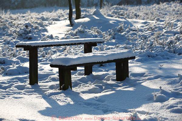 Verschneite Bnke fr Wanderer im Sonnenschein Winterbild Heidelandschaft