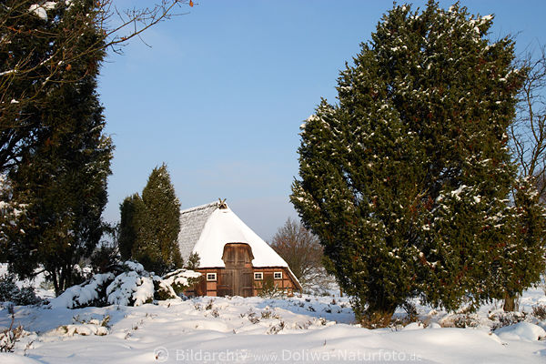 Heidestall in der Heide bei Timmerloh versteckt in Wacholder Winterzauber