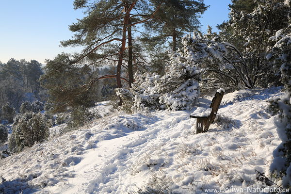 Winter Wanderweg Bank in Schnee Borsteler Schweiz Heidelandschaft Naturbild