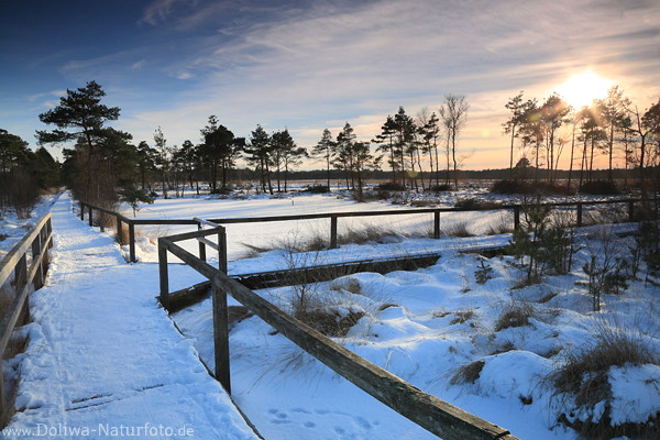 Piezmoor Wanderstege in Schnee Wintersonne Gegenlicht Naturfoto Heidelandschaft