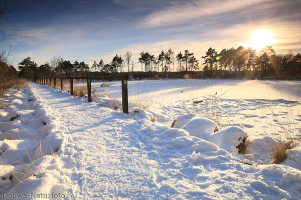 Piezmoor Schnee Wintersonne Gegenlicht Naturfoto Lneburgerheide-Winterlandschaft