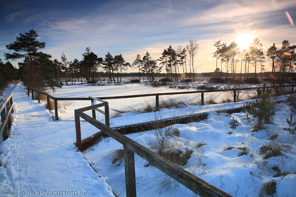 Schnee-Wanderstege Piezmoor Wintersonne-Gegenlicht Naturfoto Heidelandschaft