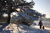 006619_Wandern in Schnee Winterlandschaft Sonnenschein: Frau mit Hund Foto in Natur auf Wanderweg
