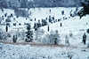 3032_Winter im Totengrund verschneite Heidelandschaft Frost Schnee Kälte Naturbild schöner Talblick