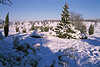3063_Heidelandschaft Natur Winterbild in Schnee Wintersonne im Urlaub Wandergebiet bei Oberhaverbeck