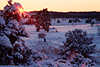 3068_Winterschnee Sonnenuntergang Naturfoto rote Strahlen am Heidehorizon
