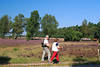 58623_Nordic Walking Wanderer Paar & Kutsche auf Wegen der Lneburger Heide