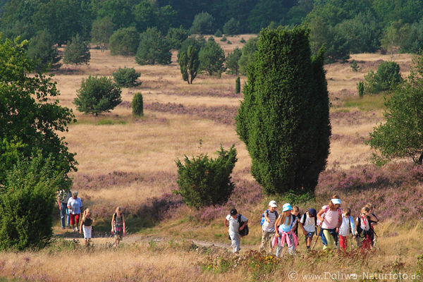 Wanderpfad zum Wilseder Berg Kinderguppe in Heidelandschaft Naturbild