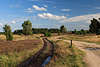 Wander-Kutschweg in Weite Lneburgerheide