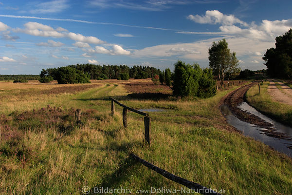 Heidelandschaft Wander-Kutschenweg Naturbild in Weite Heidegrser