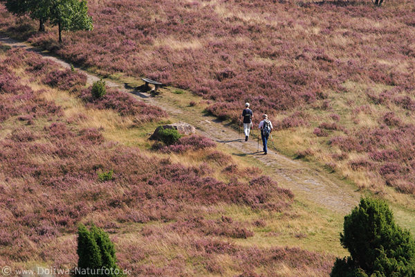 Nordic Walking Seniorenpaar auf Wanderpfad Heideweg Bild von oben
