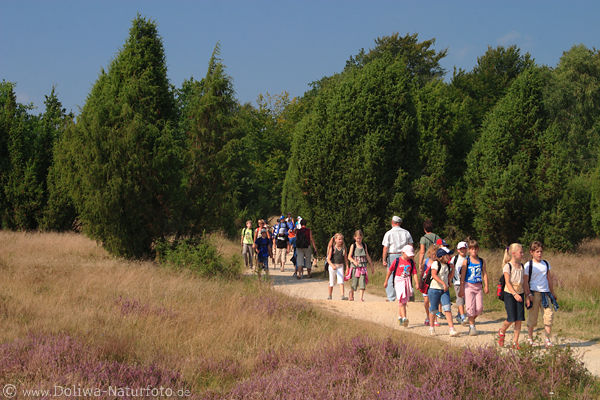 Schulkinder auf Heidewanderweg vom Wilseder Berg Heidepfad Wanderer in Bltezeit