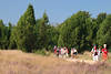59170_Jugendliche Schulkinder-Gruppe auf Wanderpfad Marsch in Heidelandschaft Wacholder in Heideblte