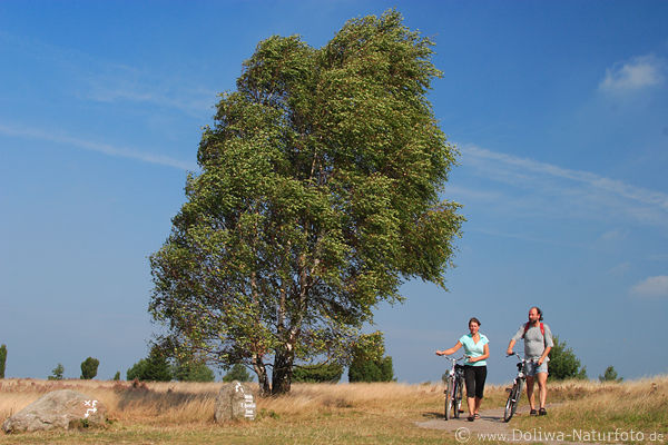Radfahrer zu Fuss an Birke im Wind am Wilseder Berg in der Heide