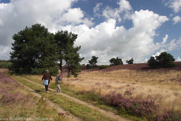 Lneburger Heide Wanderer Pfad unter Wolken Heidelandschaft Naturfoto