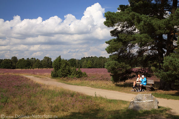 Heide-Senioren Paar unter Baum