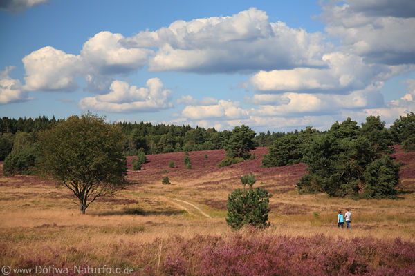 Heideland Naturfoto mit Paar Walker wandern in blhender Landschaft