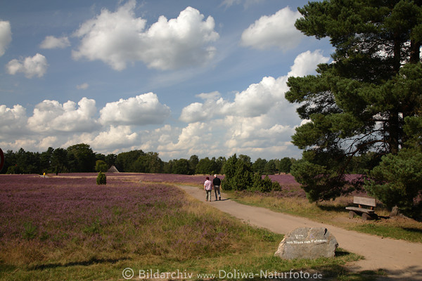 Wanderpfad Hpen Spaziergang