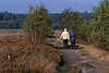 Heidepfad Senioren Paar in Bild Wanderweg Spaziergang Herbstfoto Lneburger Heide
