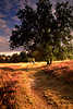 1097_Wanderer im Lichtkegel, untergehende Sonne Heidelandschaft Naturfoto, Wander-Urlaub Naturidyll