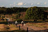707492_ Radfahrer auf Heidetour + Wanderer Bild auf Heidewanderweg bei Wulfsberg Abendstimmung wandern