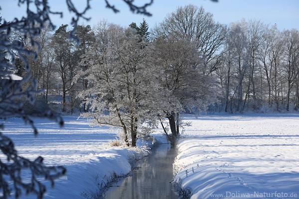 Winterbild Brunau Fluss Wasser Schneelandschaft Naturfoto bei Borstel in der Kuhle