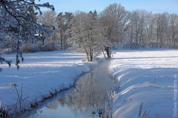 Winterbild Borsteler Schweiz Heidelandschaft in Schnee Naturfoto Bume in Sonnenschein