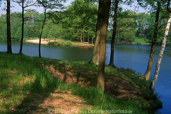 Brunausee Frhling Landschaftsfoto, Wasserufer Bume Panorama in Behringen Naturpark
