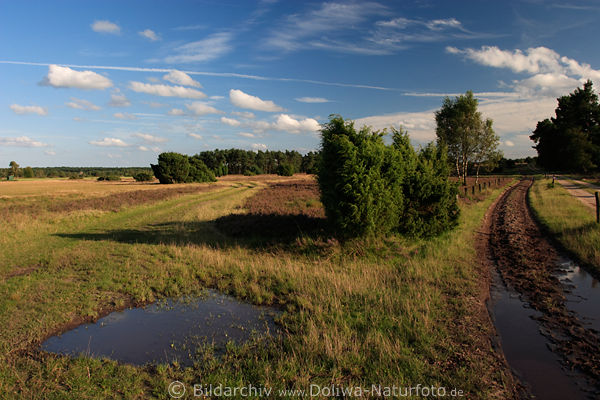 Pftzen & Tmpel, Heidewege unter Wolken, weite Heidelandschaft Naturstimmung