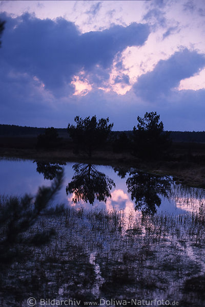 Dstere Wolken Blaustimmung Bild ber Heidegewsser, Spiegelung in Teichwasser, Tmpel