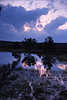 Heidemoor Gewässer düstere Blauwolken Abendstimmung Naturfoto Heidetümpel Bild