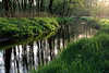Böhme Flussbett grüner Wasserufer Frühling Abendstimmung Fotos LüneburgerHeide Gewässer Naturbilder
