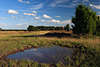 Heidetümpel Wasserpfützen Naturfotos in Grasland Heidelandschaft unter Wolken