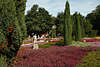 808598_ Heidebltenfest Besucher vor Heidekiosk in Hpener rotblhende Gartenlandschaft Foto spazieren