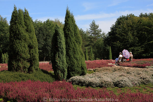 Heidegarten Hpen Parkidylle