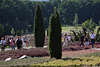 808690_ Heidebltenfest Besucher Foto im Heidegarten Hpen auf Gartenwegen zwischen Gartenrabatten