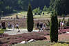 808702_ Heidebltenfest Touristen auf Gartenwegen im Heidegarten Hpen in Lneburger Heideurlaub Bild