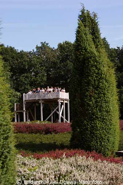 Holztribne ber Heidegarten Hpen Touristen grne Walcholder bunte Heideblte