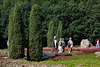 808713_ Heidegarten Höpen Foto in Heideblütezeit, Heidebesucher auf Gartenwegen in Urlaub spazieren